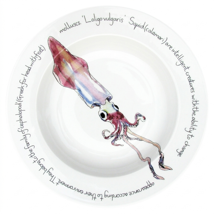 Squid 30cm Deep Rimmed Plate