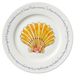 Scallop 30cm Flat Rimmed Plate