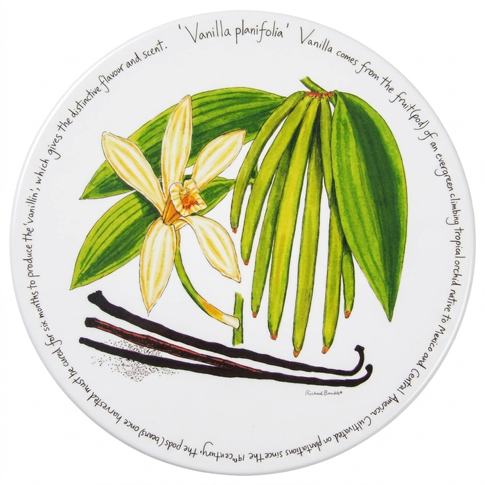 Vanilla Tablemat