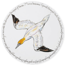Gannet Diving Tablemat