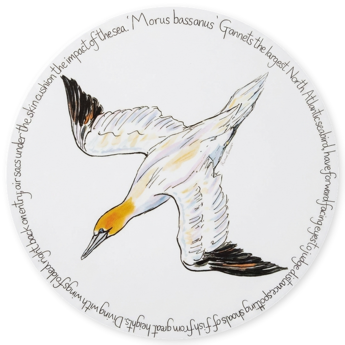 Gannet Diving Tablemat