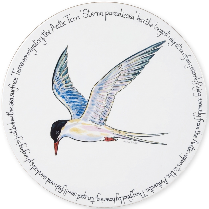 Tern Tablemat