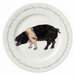 Saddleback Pig 30cm Flat Rimmed Plate