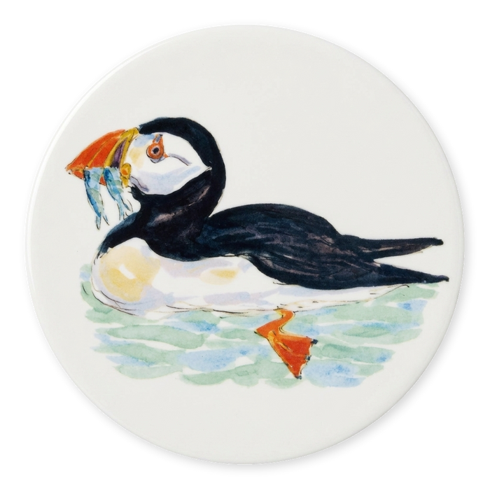 Puffin Swimming Coaster
