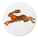 Hare Leaping Coaster