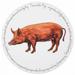 Tamworth Pig Tablemat