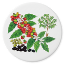 Coffee Coaster