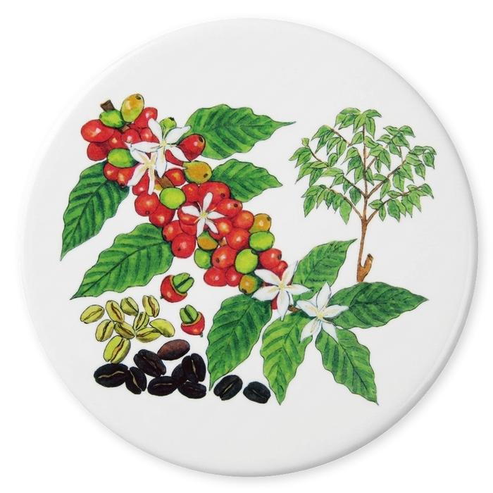 Coffee Coaster