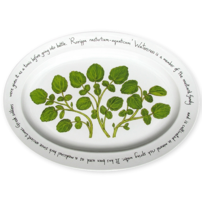 Watercress 39cm Oval Plate