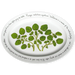 Watercress 39cm Oval Plate