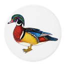Wood Duck Coaster