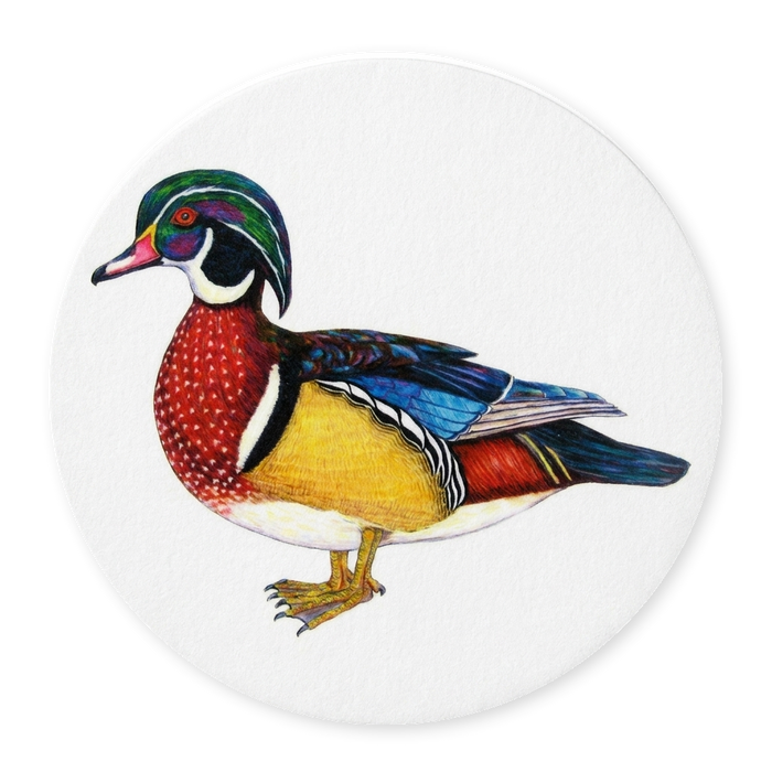 Wood Duck Coaster