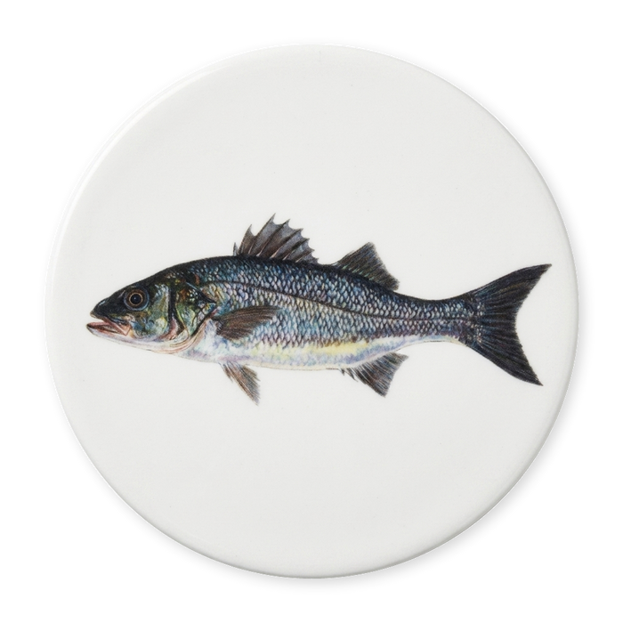 Richard Bramble | Sea Bass Coaster