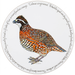 Bobwhite Quail Tablemat