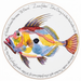 John Dory Tablemat