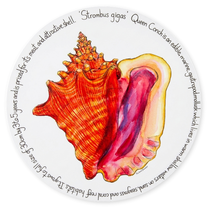 Queen Conch Tablemat