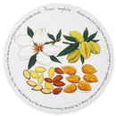 Almonds Tablemat