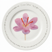 Saffron 30cm Flat Rimmed Plate