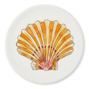 Scallop Coaster
