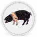 British Saddleback Pig Tablemat