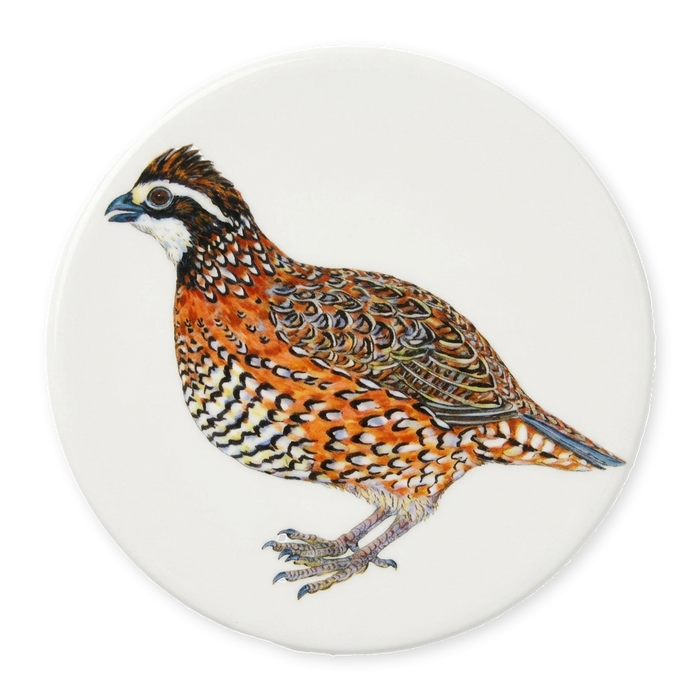 Bobwhite Quail Coaster