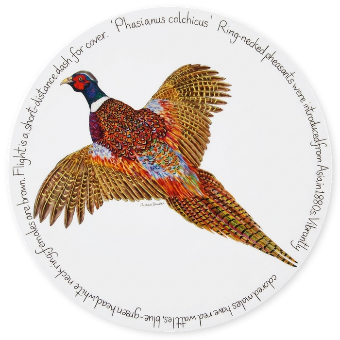 Ring-necked Pheasant Tablemat
