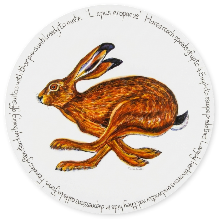 Hare Running Tablemat