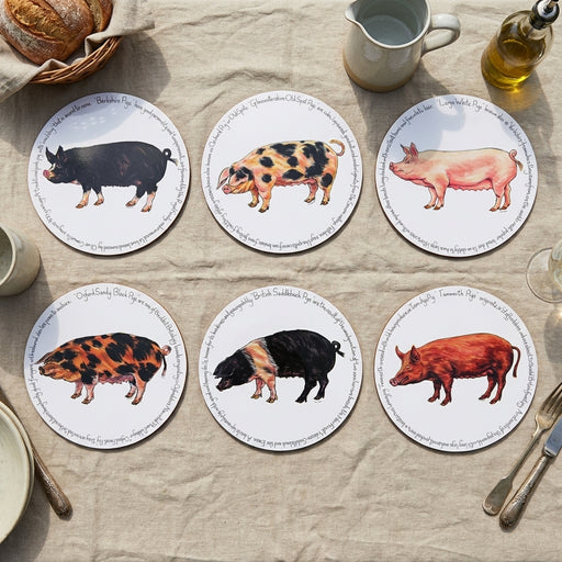 Pig Breeds Tablemat Set of 6 by Richard Bramble