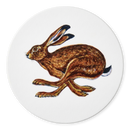 Hares 4 coaster gift selection