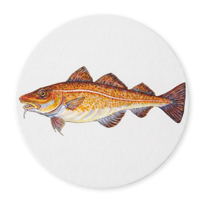 Cod Coaster