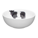 Belted Galloway Cow 16cm Bowl