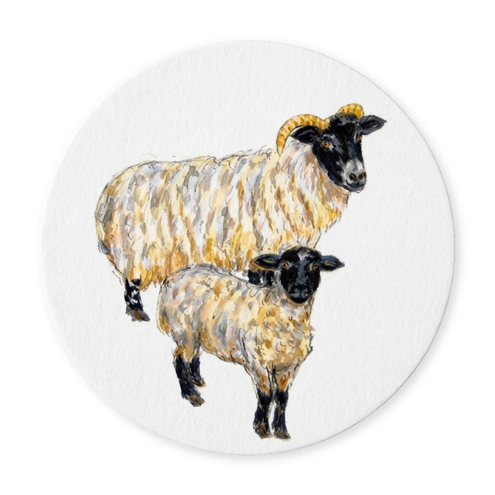 Blackface Sheep Coaster