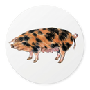 Richard Bramble Oxford Sandy Black Pig Coaster