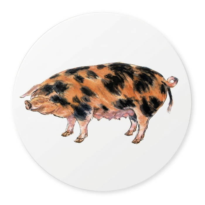 Richard Bramble Oxford Sandy Black Pig Coaster