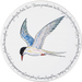 Arctic Tern tablemat