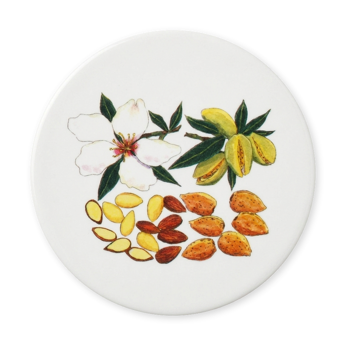 Almonds Coaster