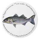 Striped Bass Tablemat