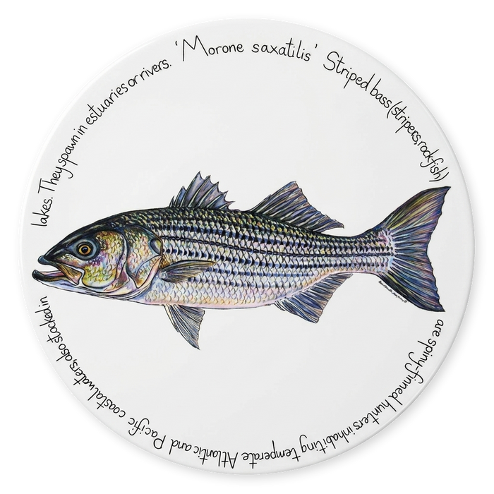Striped Bass Tablemat