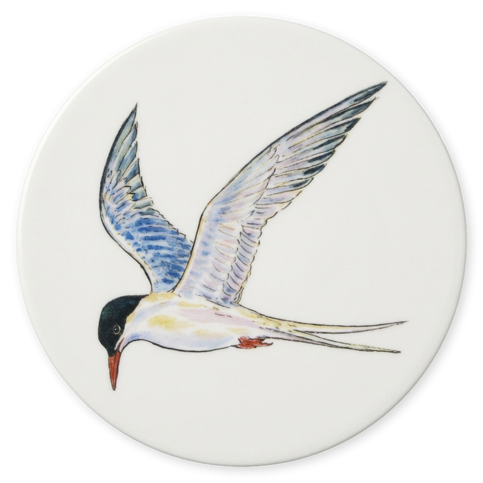 Tern Coaster