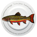 Brook Trout 30cm Flat Rimmed Plate