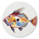 John Dory Coaster