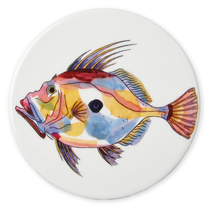 John Dory Coaster