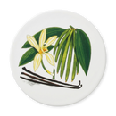 Vanilla Coaster