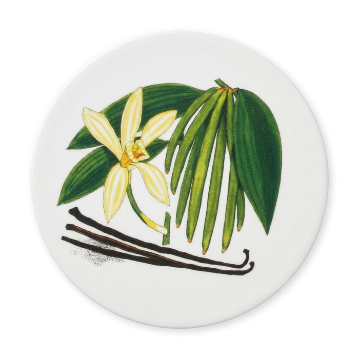 Vanilla Coaster