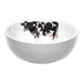 Holstein Friesian Cow 16cm Bowl