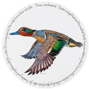 Green Winged Teal Tablemat