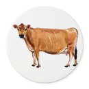 Jersey Cow Coaster