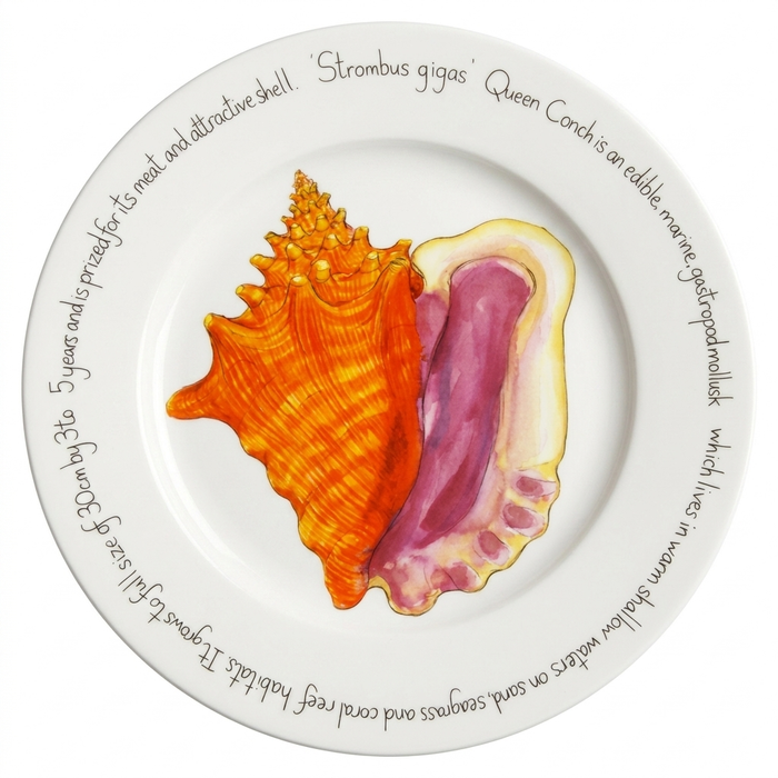 Conch Shell 30cm Flat Rimmed Plate