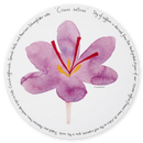 Saffron Tablemat