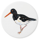 Oystercatcher Standing Coaster